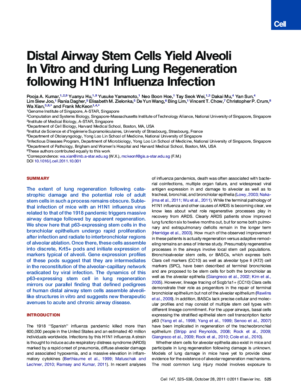 Distal Airway Stem Cells Yield Alveoli InÂ Vitro and during Lung Regeneration following H1N1 Influenza Infection
