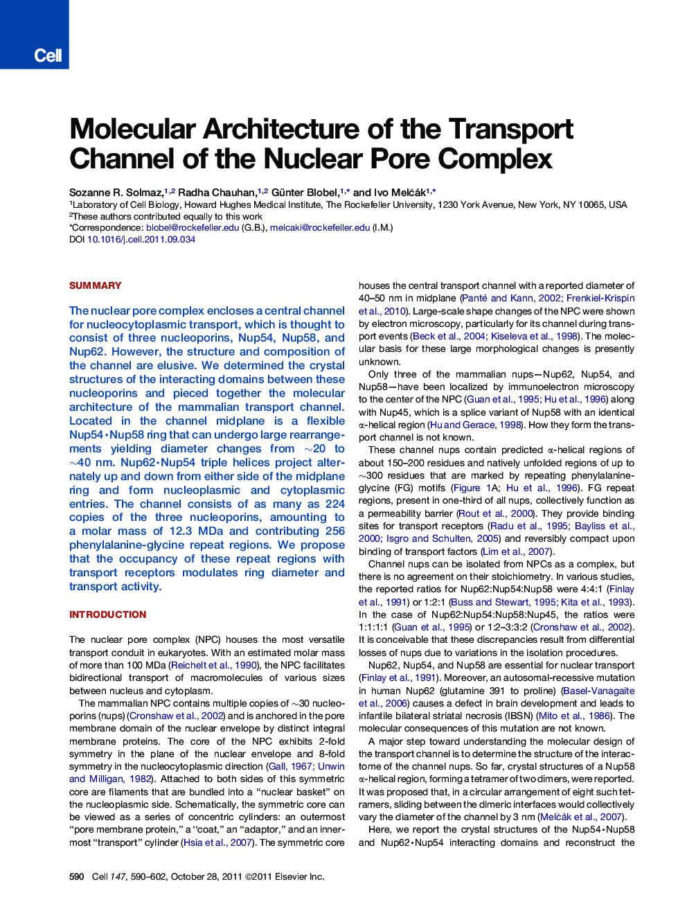 Molecular Architecture of the Transport Channel of the Nuclear Pore Complex