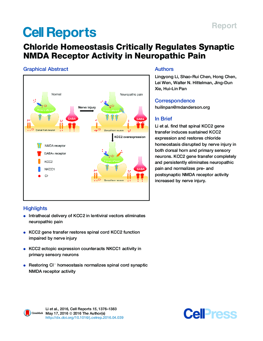 Chloride Homeostasis Critically Regulates Synaptic NMDA Receptor Activity in Neuropathic Pain