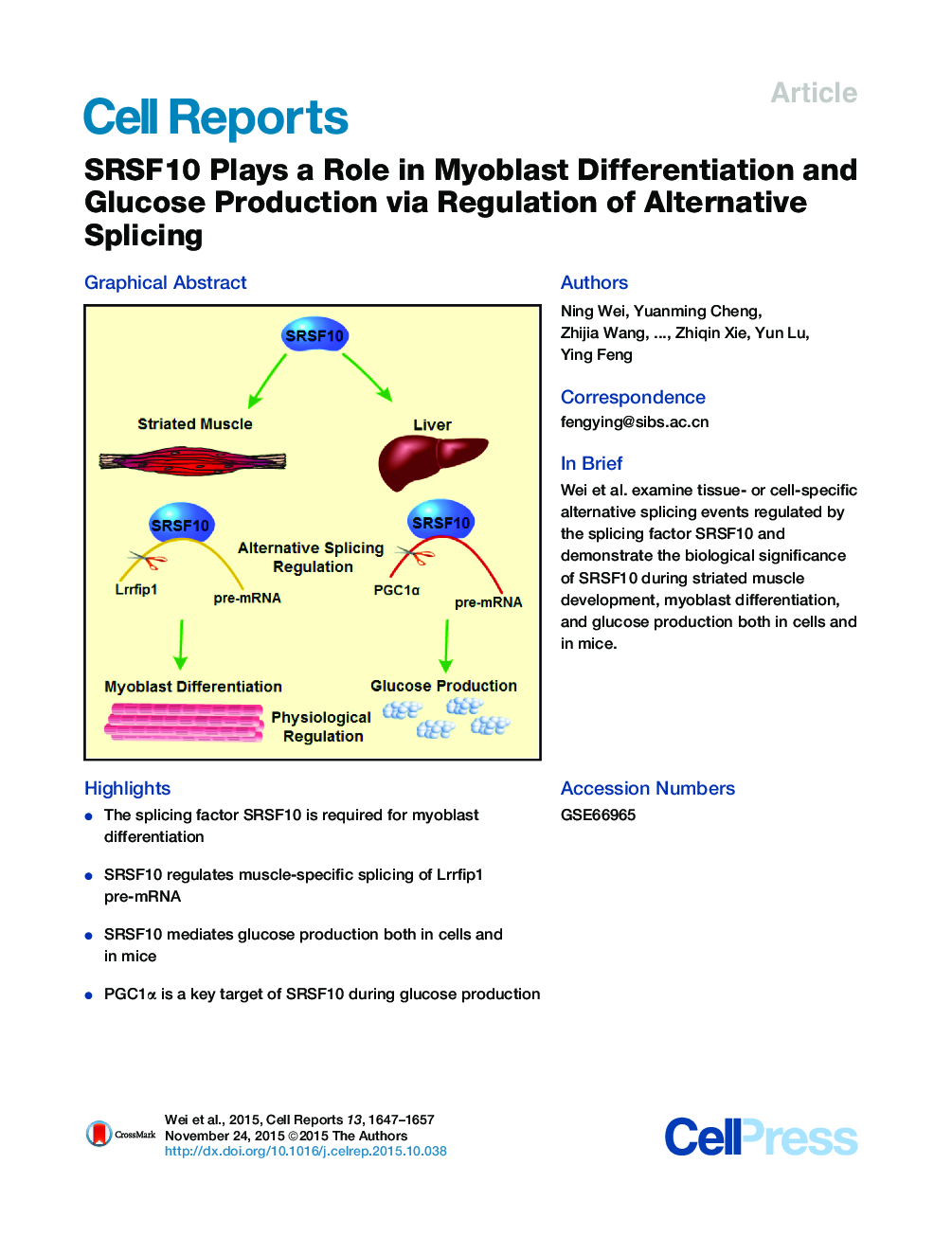 SRSF10 Plays a Role in Myoblast Differentiation and Glucose Production via Regulation of Alternative Splicing 