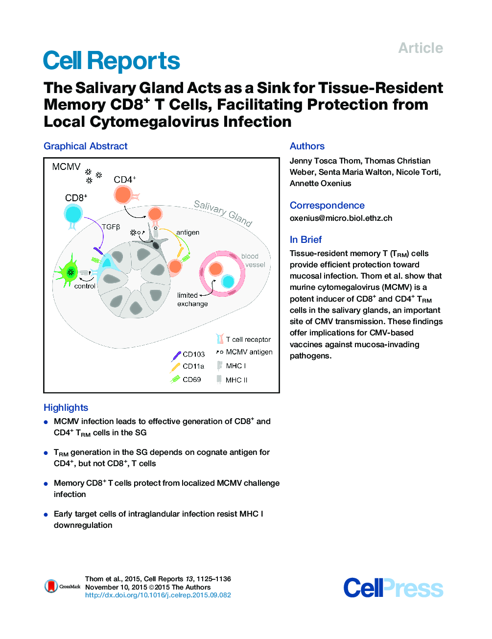 The Salivary Gland Acts as a Sink for Tissue-Resident Memory CD8+ T Cells, Facilitating Protection from Local Cytomegalovirus Infection 