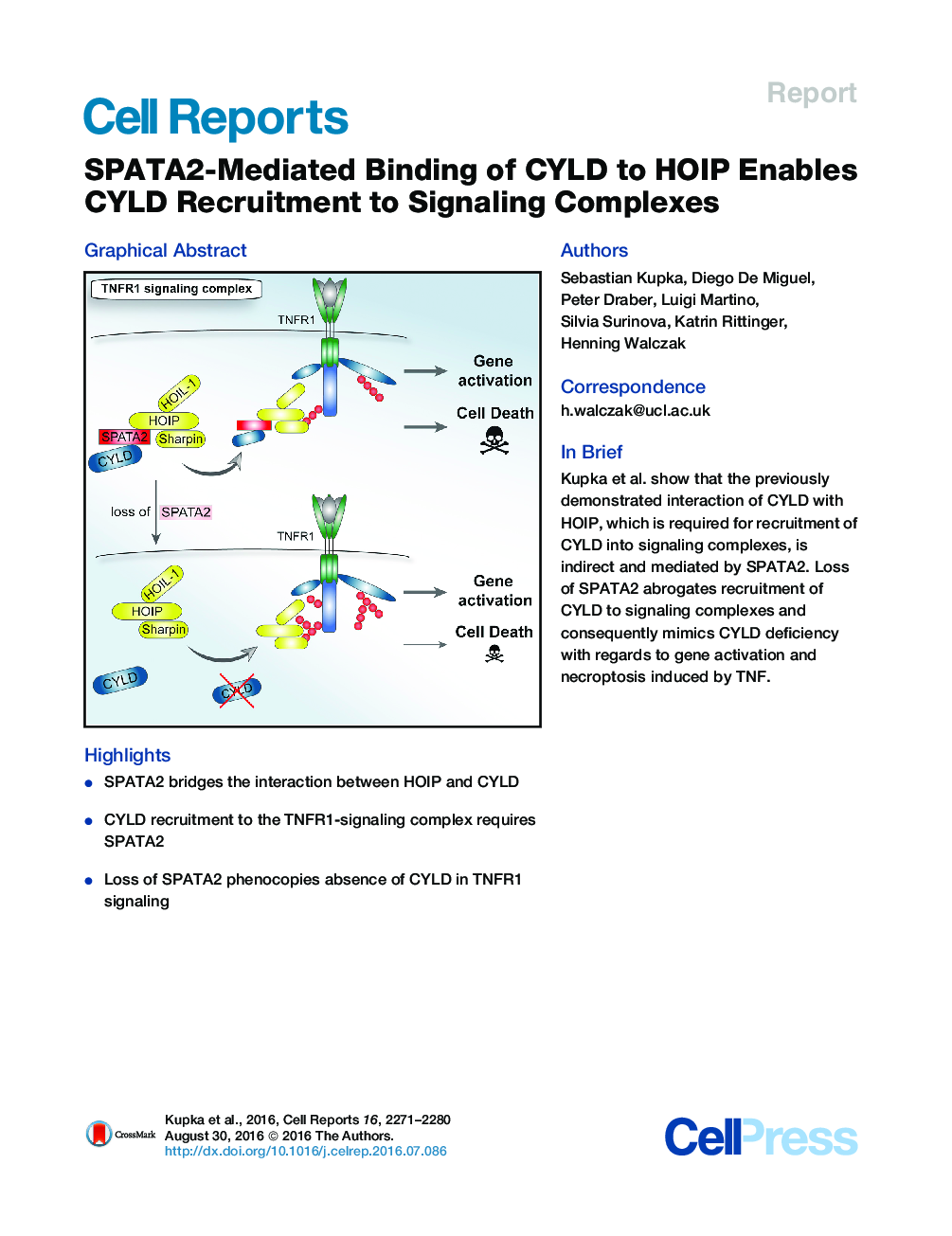 SPATA2-Mediated Binding of CYLD to HOIP Enables CYLD Recruitment to Signaling Complexes