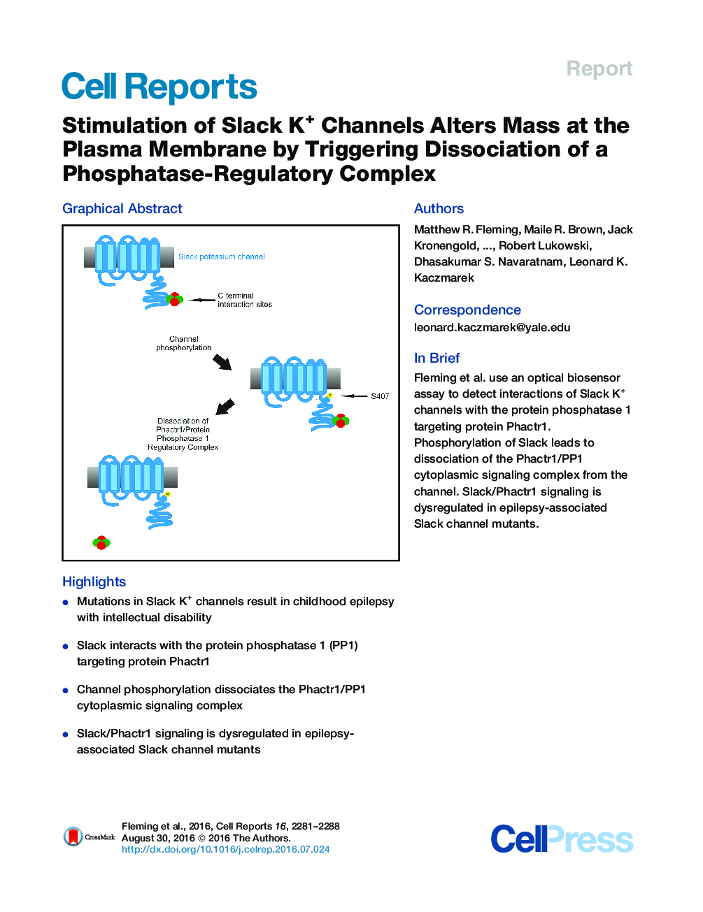 Stimulation of Slack K+ Channels Alters Mass at the Plasma Membrane by Triggering Dissociation of a Phosphatase-Regulatory Complex
