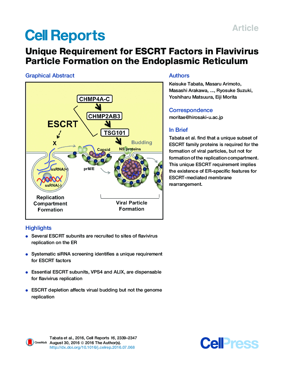 Unique Requirement for ESCRT Factors in Flavivirus Particle Formation on the Endoplasmic Reticulum