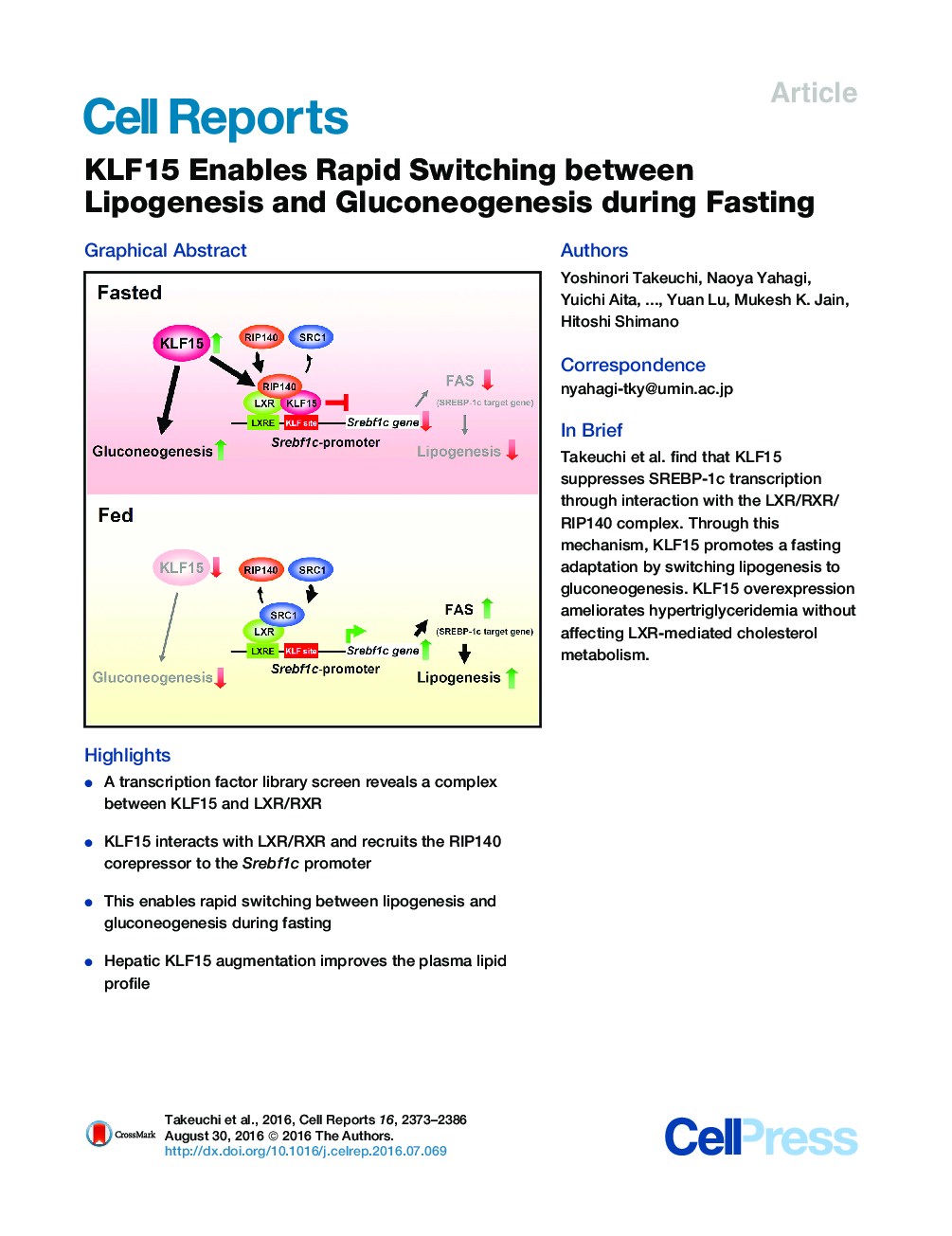 KLF15 Enables Rapid Switching between Lipogenesis and Gluconeogenesis during Fasting
