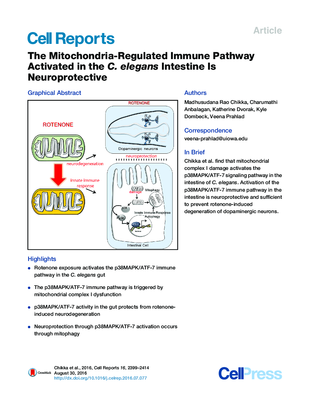 The Mitochondria-Regulated Immune Pathway Activated in the C. elegans Intestine Is Neuroprotective