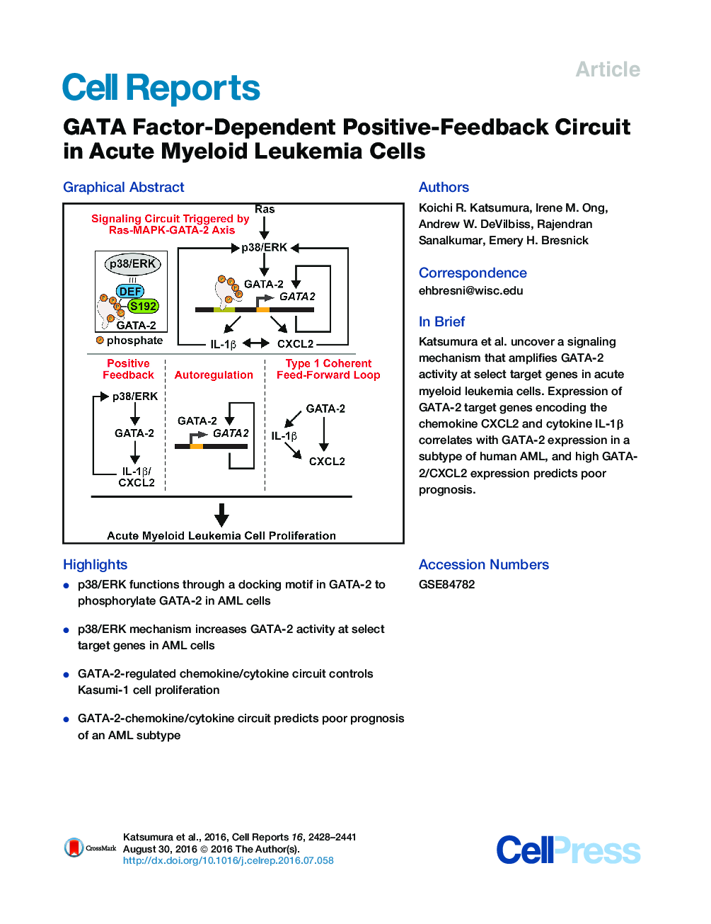 GATA Factor-Dependent Positive-Feedback Circuit in Acute Myeloid Leukemia Cells