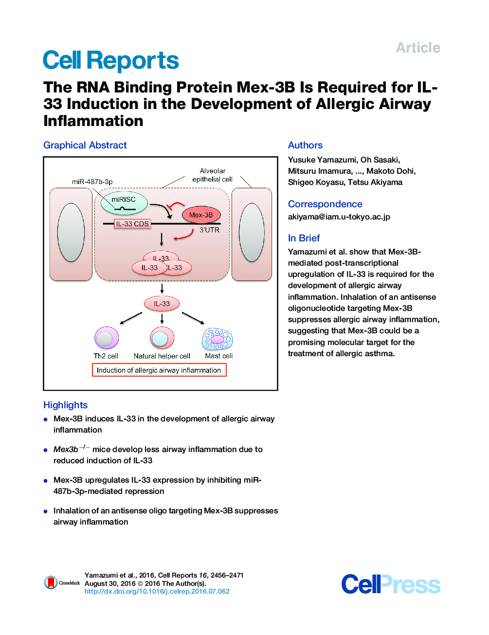 The RNA Binding Protein Mex-3B Is Required for IL-33 Induction in the Development of Allergic Airway Inflammation