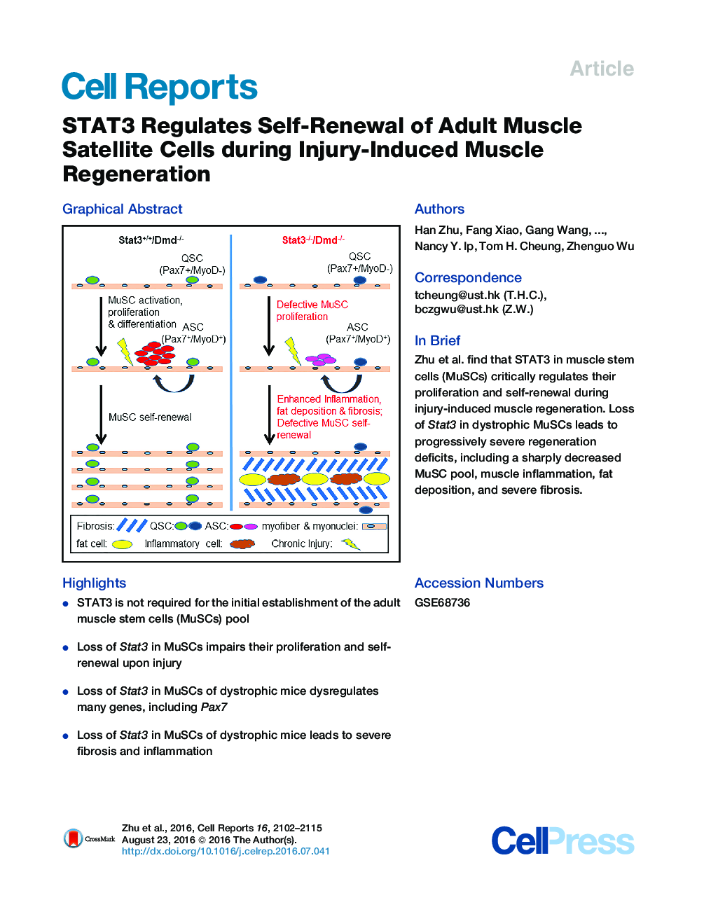 STAT3 Regulates Self-Renewal of Adult Muscle Satellite Cells during Injury-Induced Muscle Regeneration