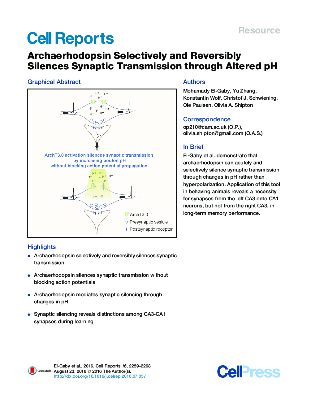 Archaerhodopsin Selectively and Reversibly Silences Synaptic Transmission through Altered pH