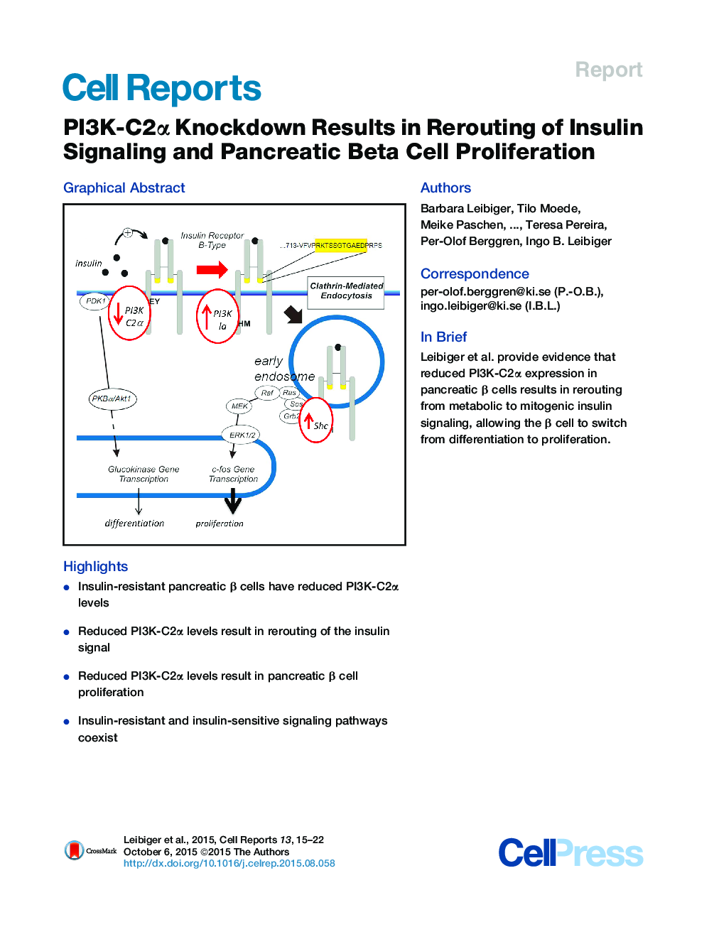 PI3K-C2α Knockdown Results in Rerouting of Insulin Signaling and Pancreatic Beta Cell Proliferation 