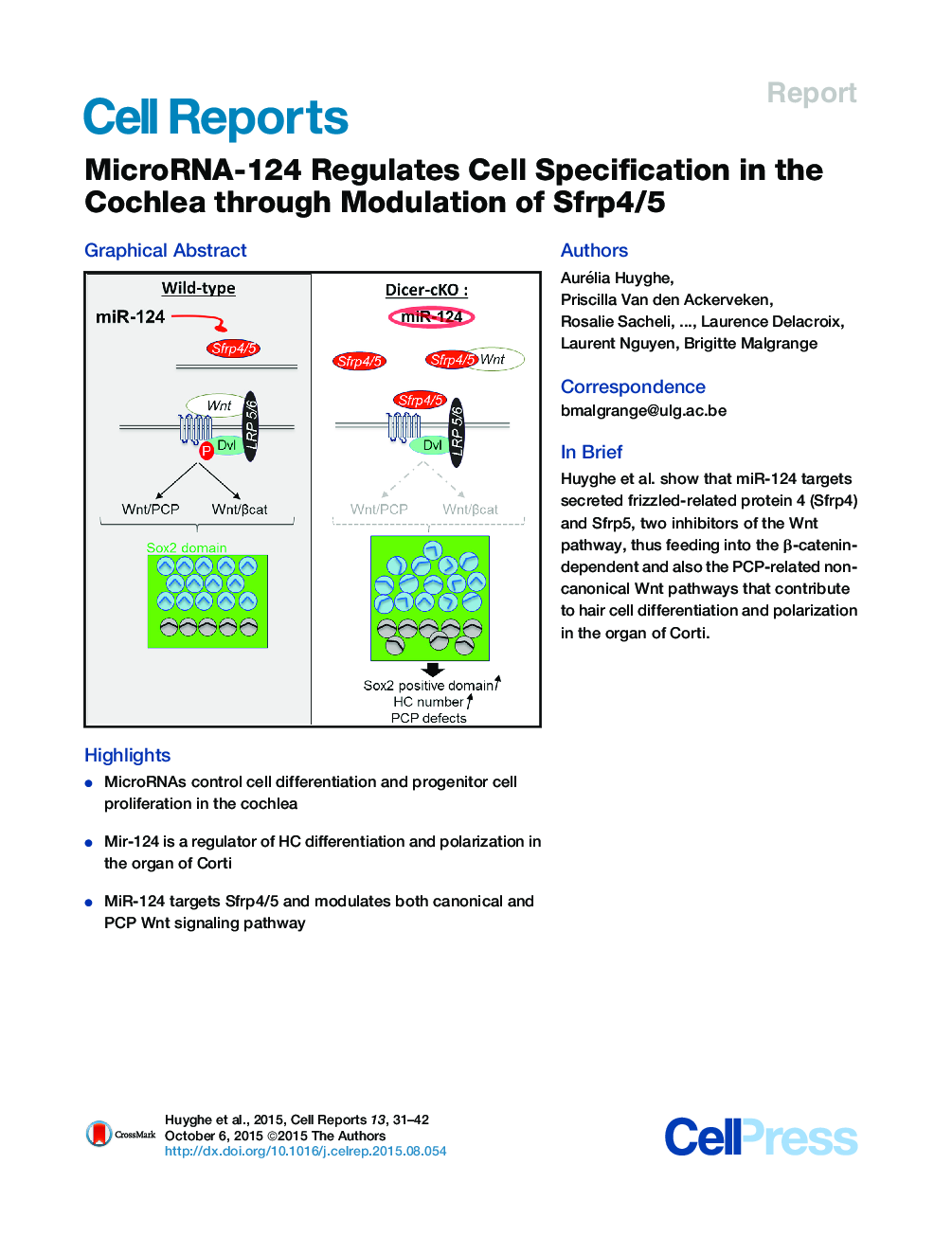 MicroRNA-124 Regulates Cell Specification in the Cochlea through Modulation of Sfrp4/5 
