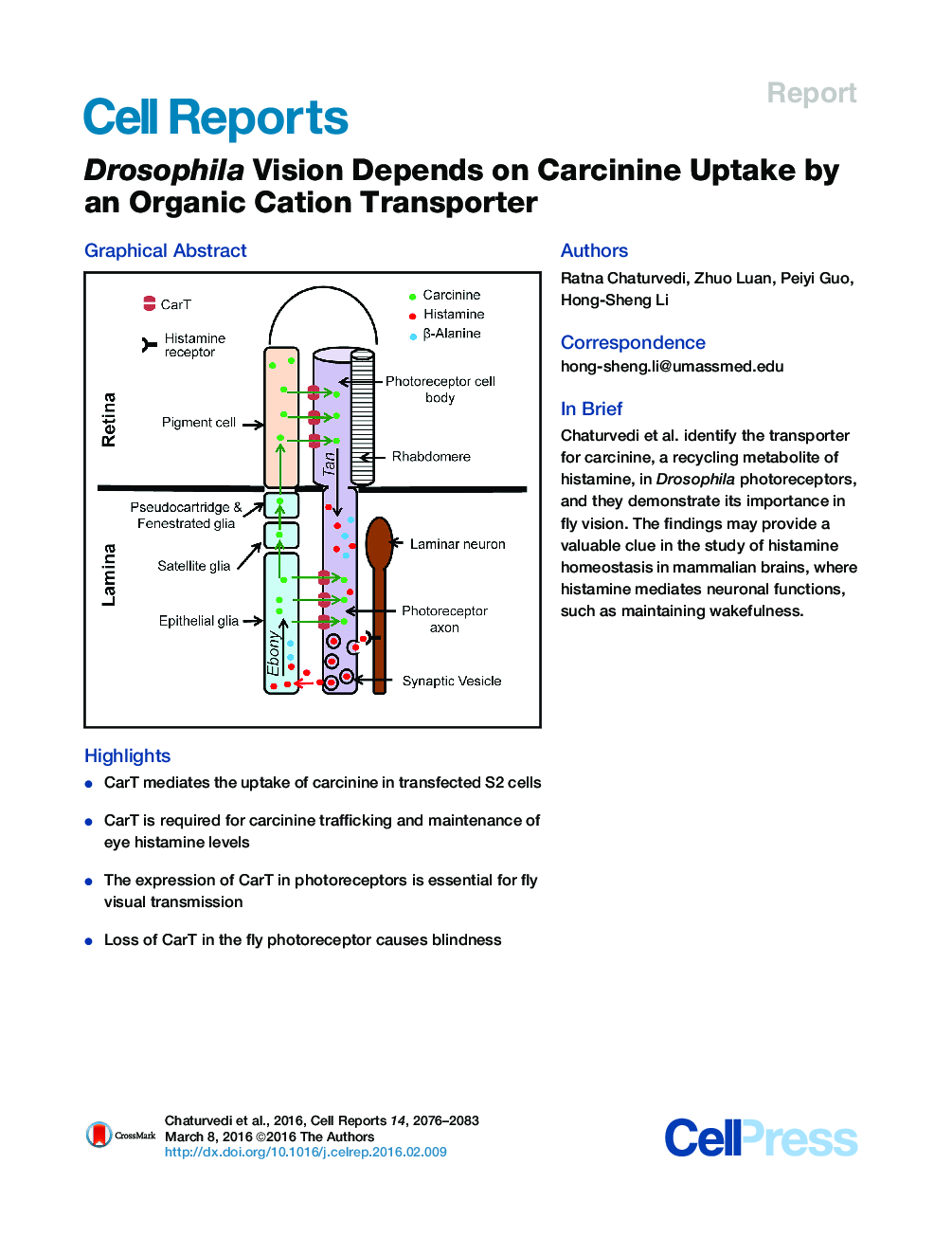 Drosophila Vision Depends on Carcinine Uptake by an Organic Cation Transporter 