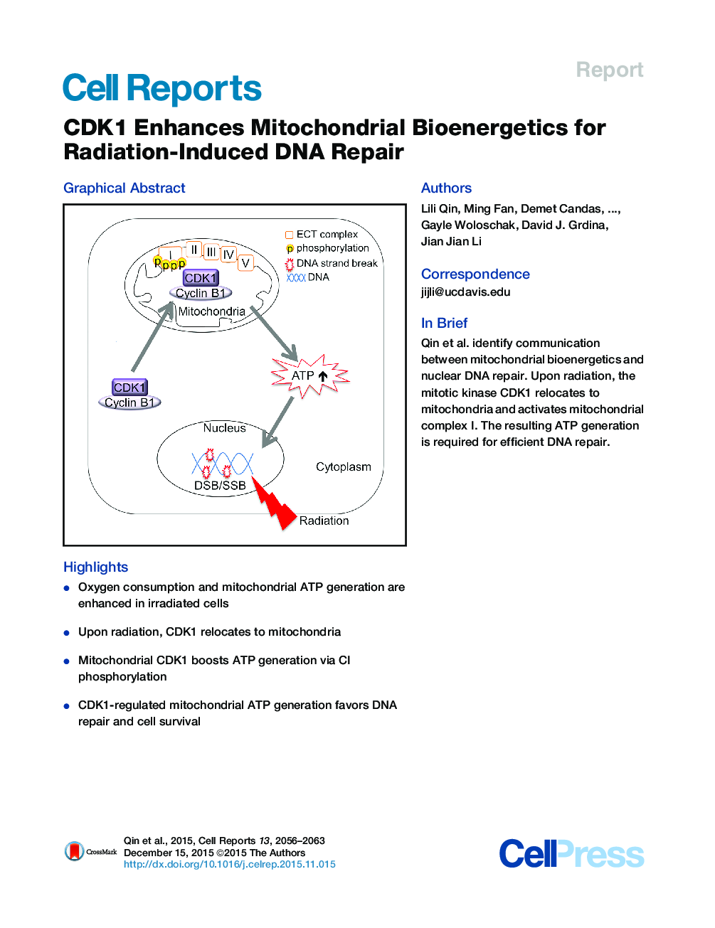 CDK1 Enhances Mitochondrial Bioenergetics for Radiation-Induced DNA Repair 