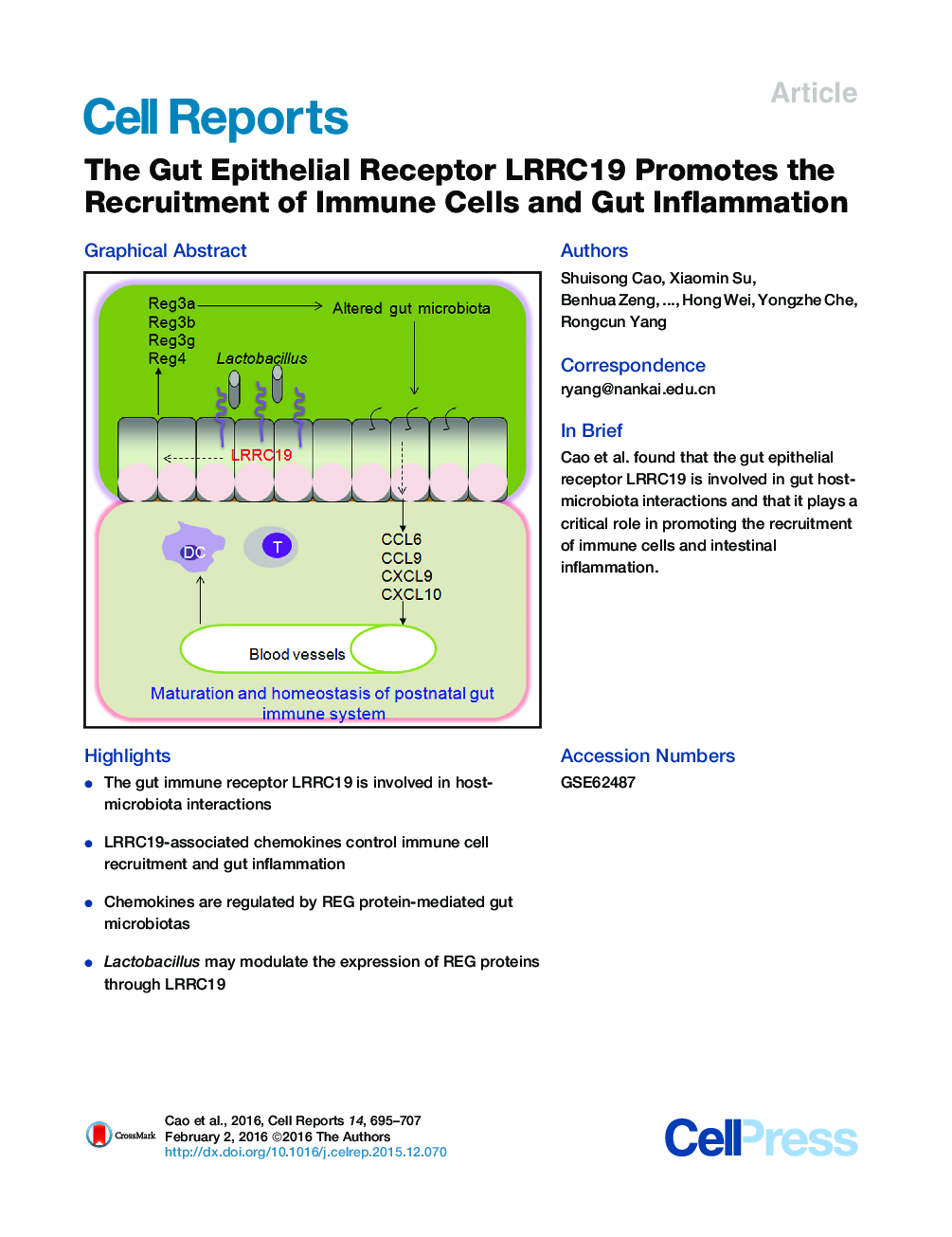 The Gut Epithelial Receptor LRRC19 Promotes the Recruitment of Immune Cells and Gut Inflammation 