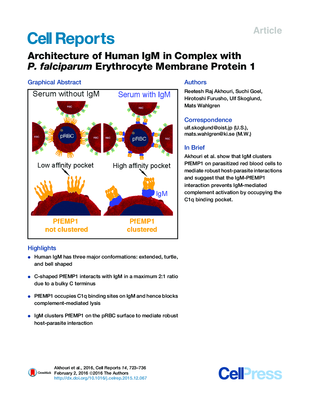Architecture of Human IgM in Complex with P. falciparum Erythrocyte Membrane Protein 1 