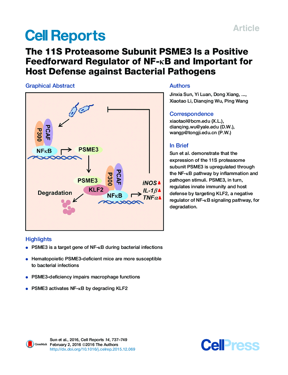 The 11S Proteasome Subunit PSME3 Is a Positive Feedforward Regulator of NF-κB and Important for Host Defense against Bacterial Pathogens 