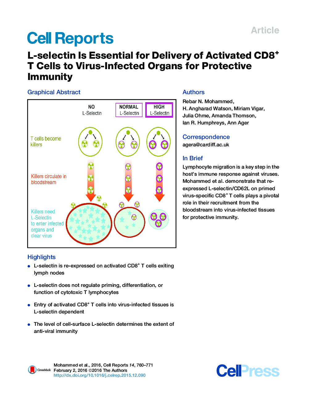 L-selectin Is Essential for Delivery of Activated CD8+ T Cells to Virus-Infected Organs for Protective Immunity 