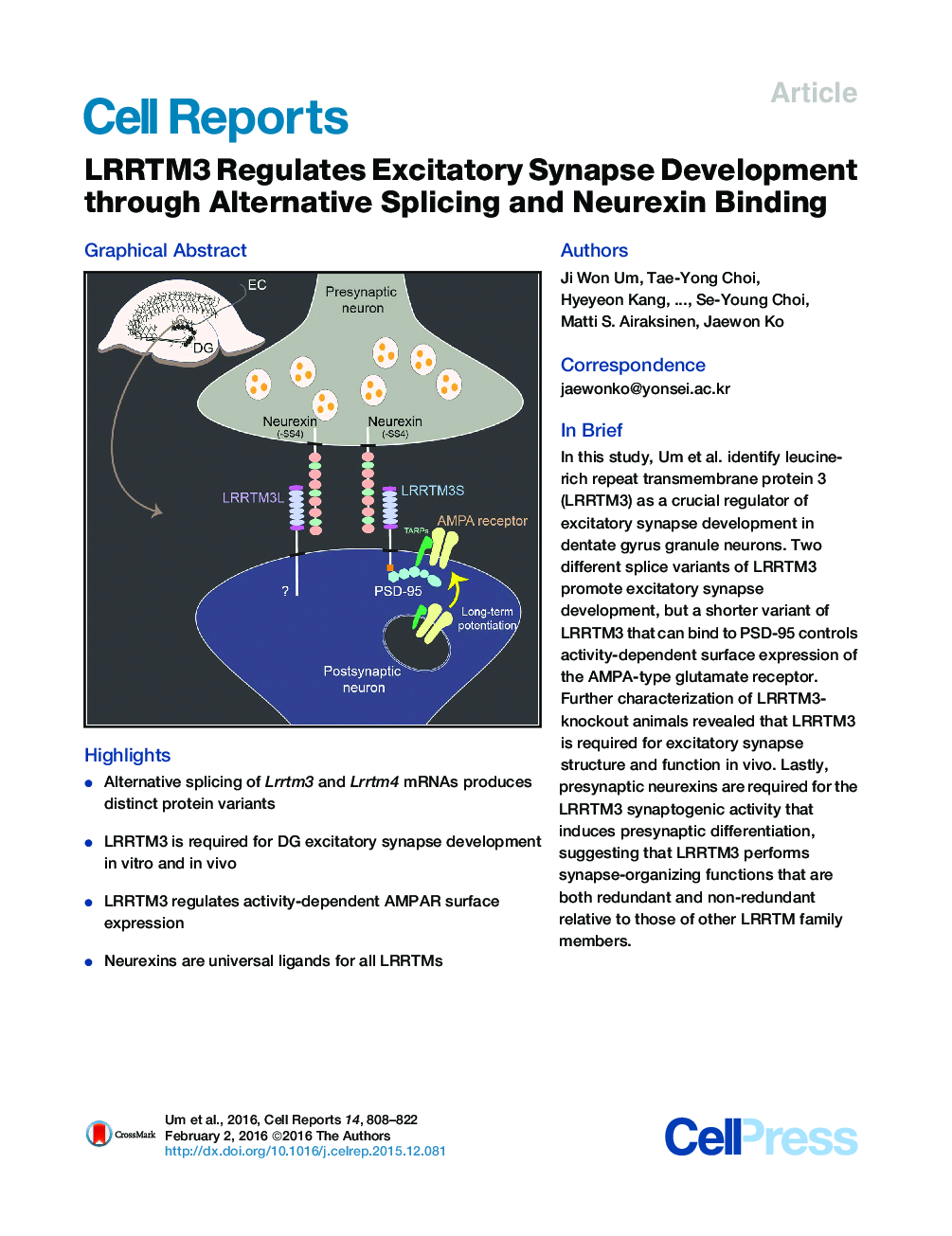 LRRTM3 Regulates Excitatory Synapse Development through Alternative Splicing and Neurexin Binding 
