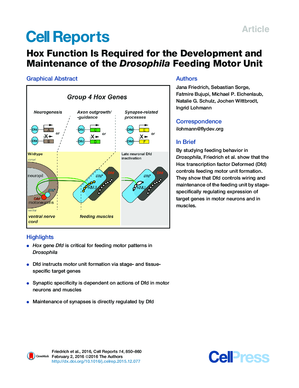 Hox Function Is Required for the Development and Maintenance of the Drosophila Feeding Motor Unit 