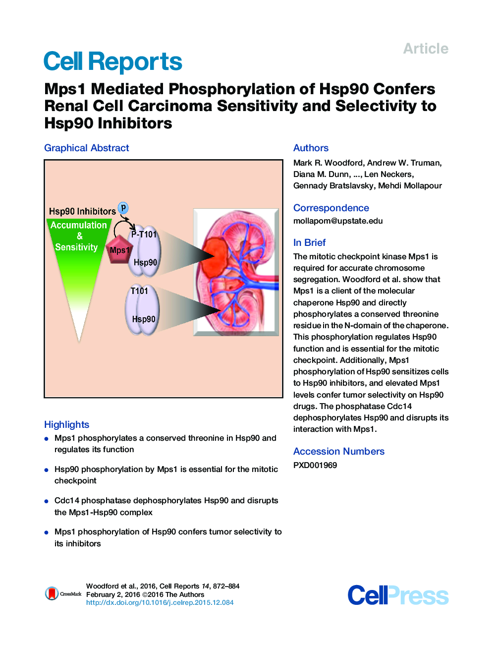 Mps1 Mediated Phosphorylation of Hsp90 Confers Renal Cell Carcinoma Sensitivity and Selectivity to Hsp90 Inhibitors 