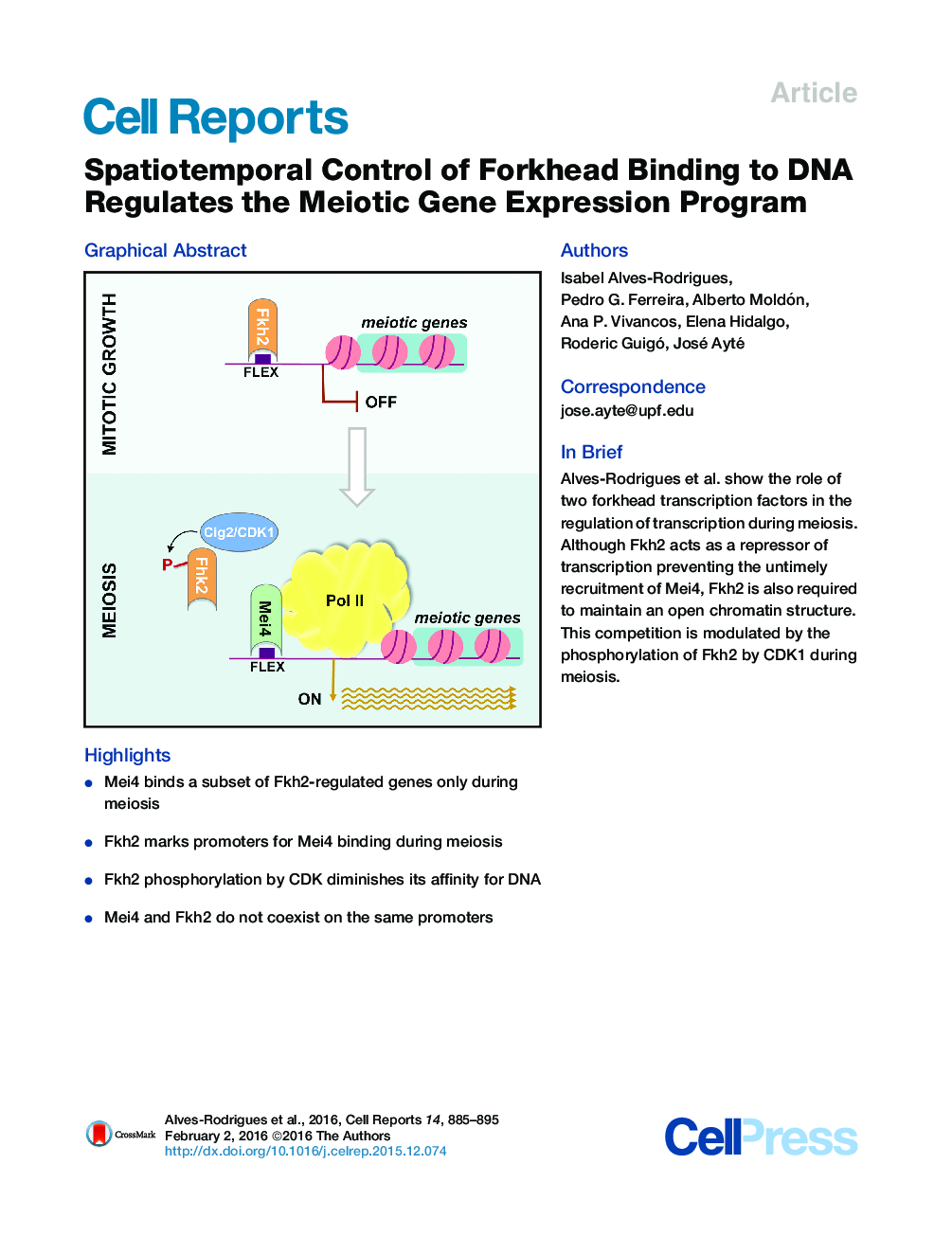 Spatiotemporal Control of Forkhead Binding to DNA Regulates the Meiotic Gene Expression Program 
