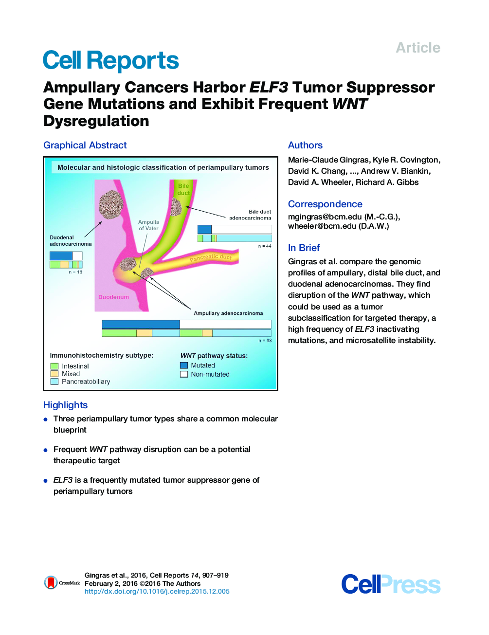 Ampullary Cancers Harbor ELF3 Tumor Suppressor Gene Mutations and Exhibit Frequent WNT Dysregulation 