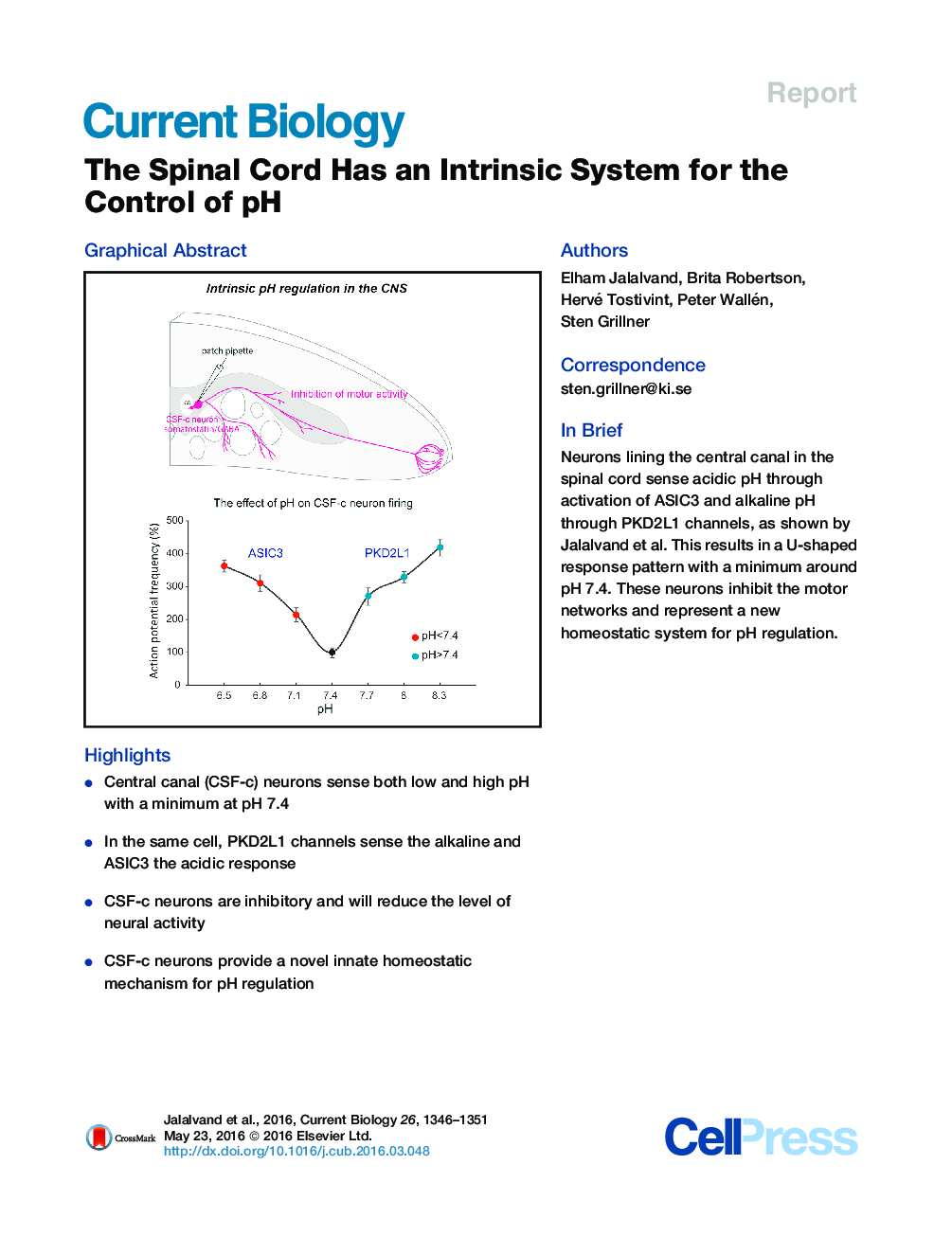 The Spinal Cord Has an Intrinsic System for the Control of pH