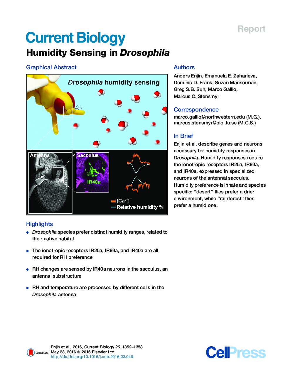 Humidity Sensing in Drosophila