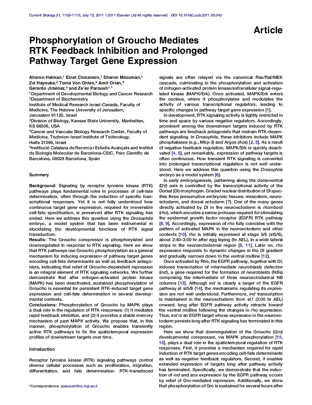 Phosphorylation of Groucho Mediates RTK Feedback Inhibition and Prolonged Pathway Target Gene Expression
