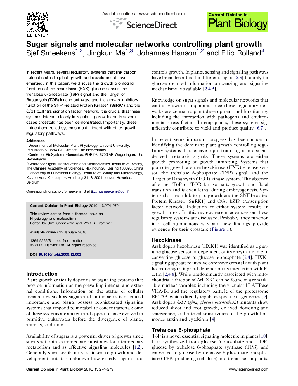 Sugar signals and molecular networks controlling plant growth