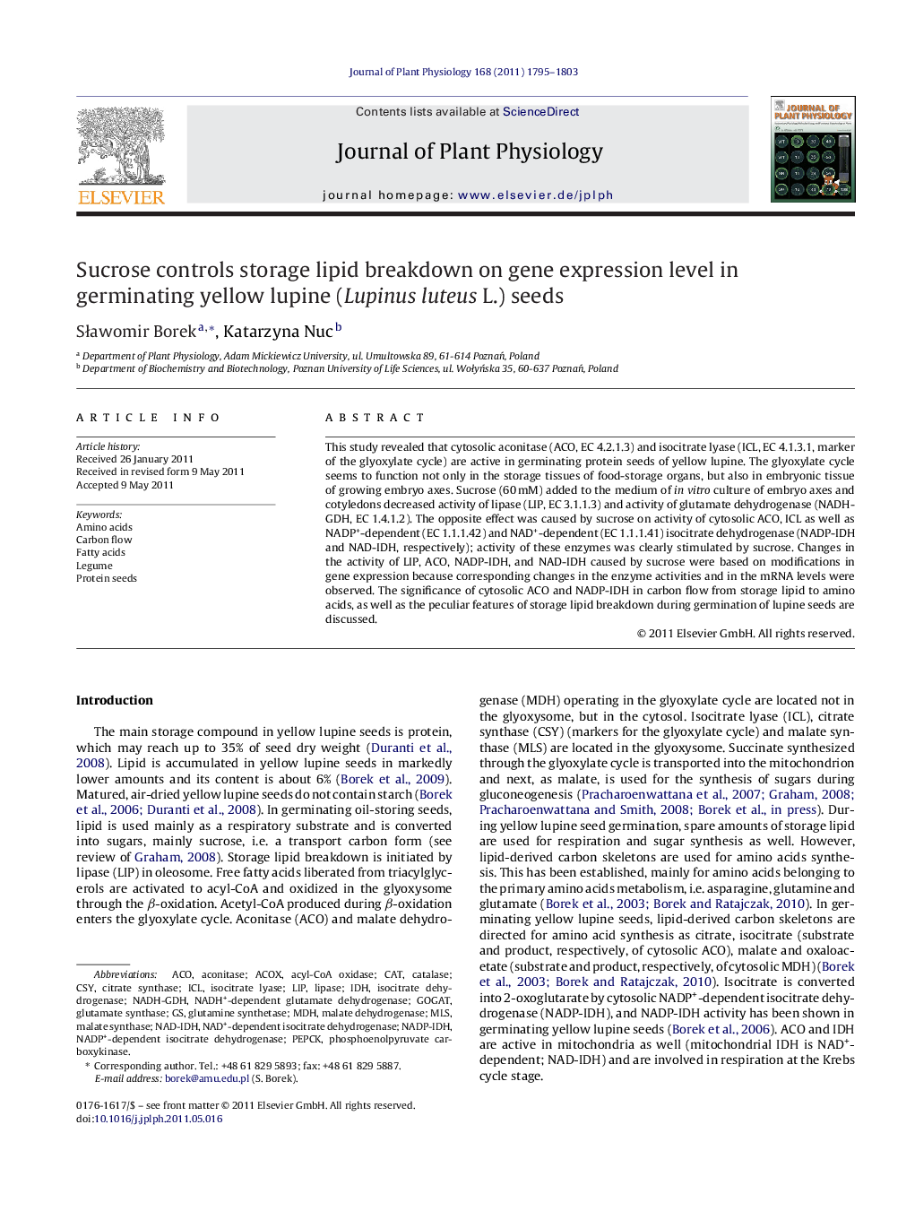 Sucrose controls storage lipid breakdown on gene expression level in germinating yellow lupine (Lupinus luteus L.) seeds