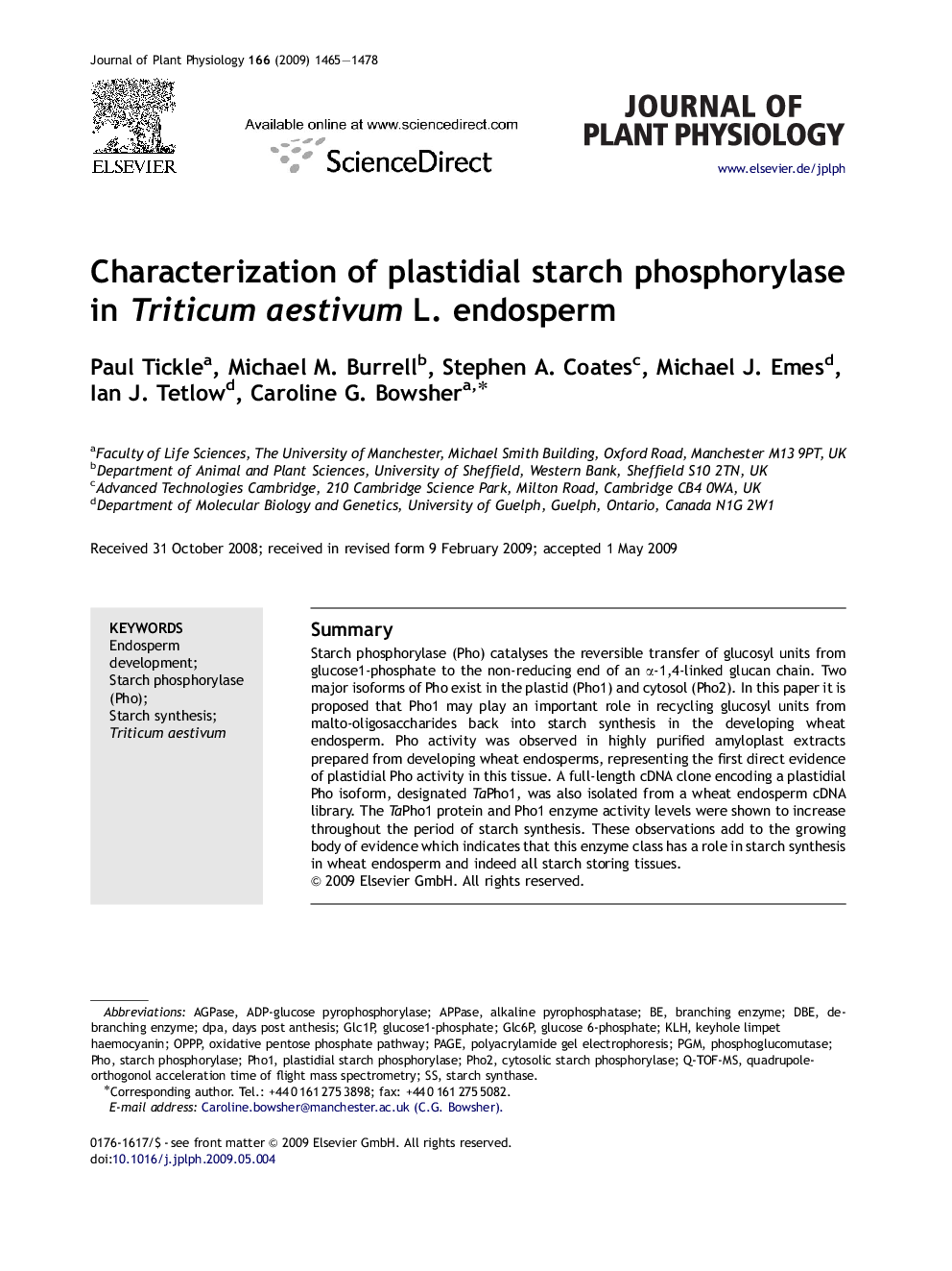 Characterization of plastidial starch phosphorylase in Triticum aestivum L. endosperm