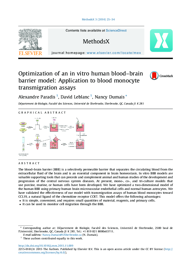 بهینه سازی یک مدل مانع مغزی خون انسان در محیط آزمایشگاهی: کاربرد در آزمایش های انتقال مونوسیت خون 