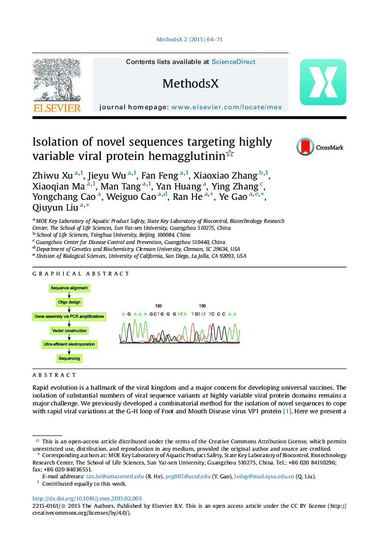 Isolation of novel sequences targeting highly variable viral protein hemagglutinin 