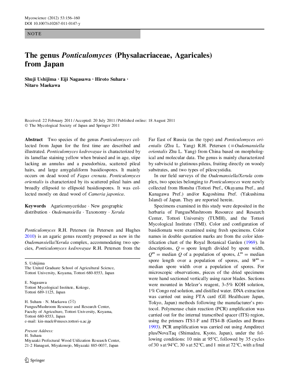 The genus Ponticulomyces (Physalacriaceae, Agaricales) from Japan