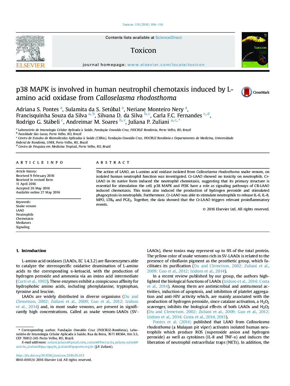 p38 MAPK is involved in human neutrophil chemotaxis induced by L-amino acid oxidase from Calloselasma rhodosthoma