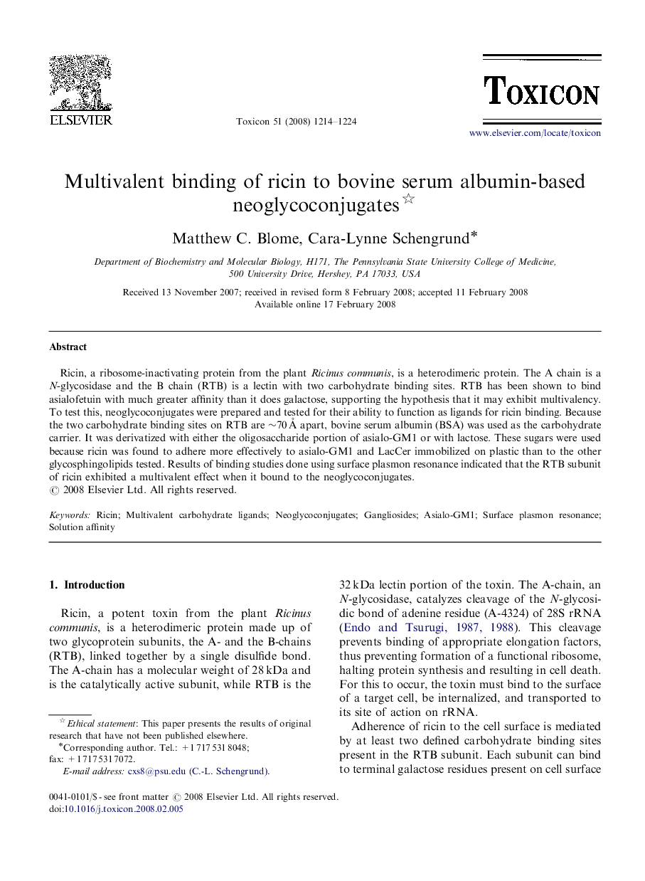 Multivalent binding of ricin to bovine serum albumin-based neoglycoconjugates 
