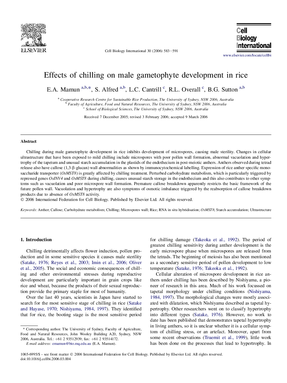 Effects of chilling on male gametophyte development in rice