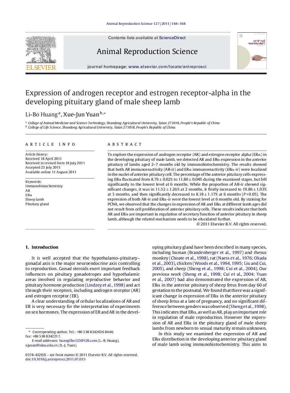 Expression of androgen receptor and estrogen receptor-alpha in the developing pituitary gland of male sheep lamb