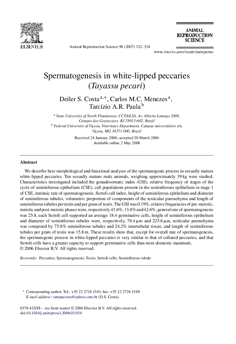 Spermatogenesis in white-lipped peccaries (Tayassu pecari)