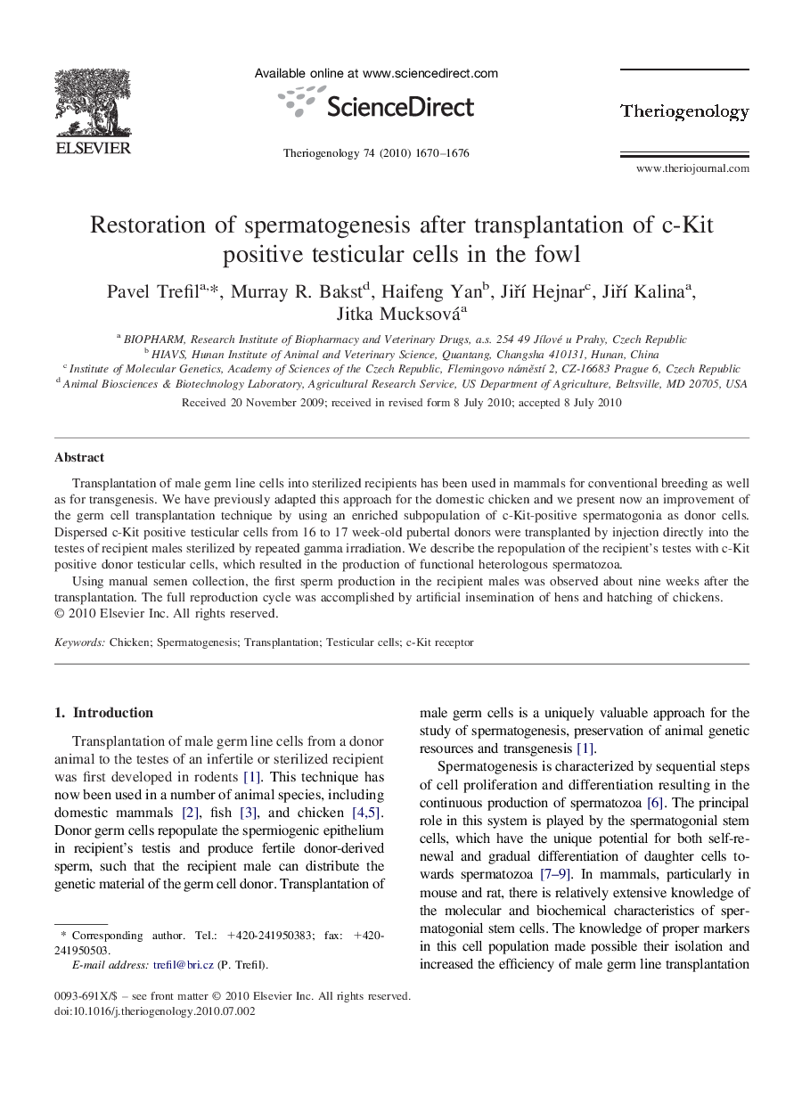Restoration of spermatogenesis after transplantation of c-Kit positive testicular cells in the fowl