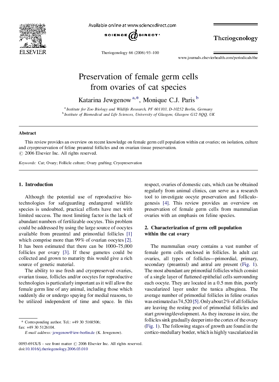 Preservation of female germ cells from ovaries of cat species