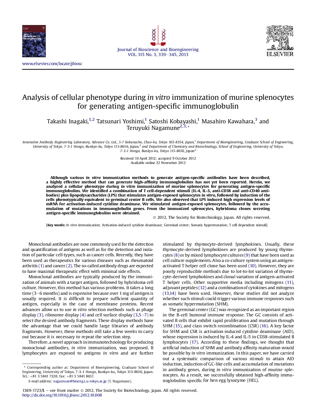 Analysis of cellular phenotype during in vitro immunization of murine splenocytes for generating antigen-specific immunoglobulin