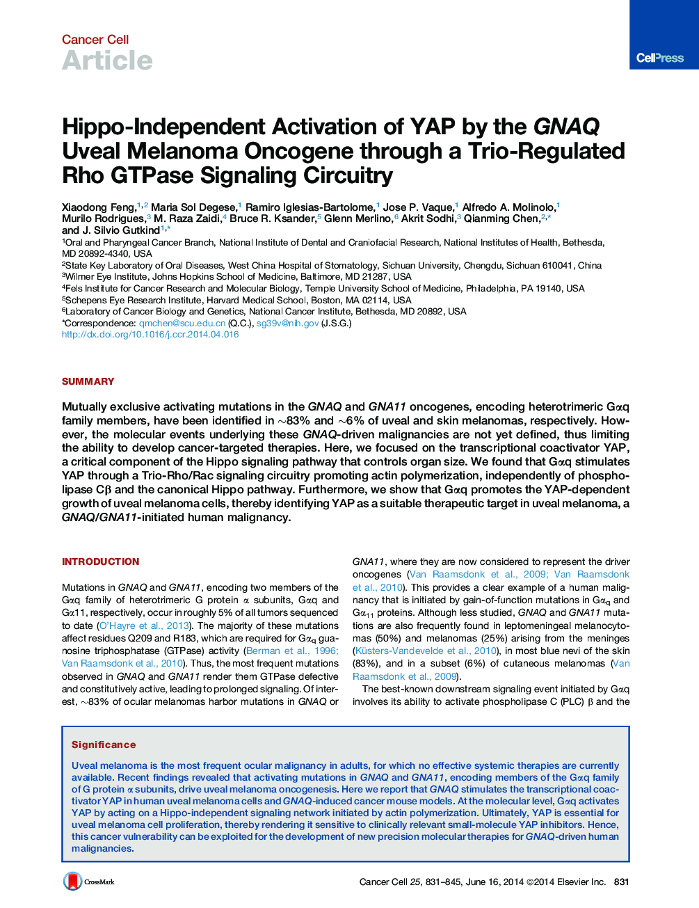 Hippo-Independent Activation of YAP by the GNAQ Uveal Melanoma Oncogene through a Trio-Regulated Rho GTPase Signaling Circuitry