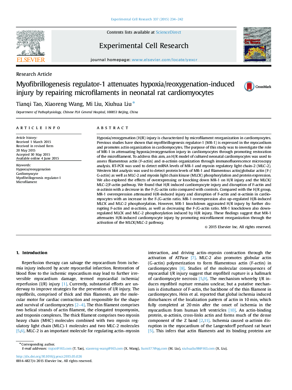 Myofibrillogenesis regulator-1 attenuates hypoxia/reoxygenation-induced injury by repairing microfilaments in neonatal rat cardiomyocytes