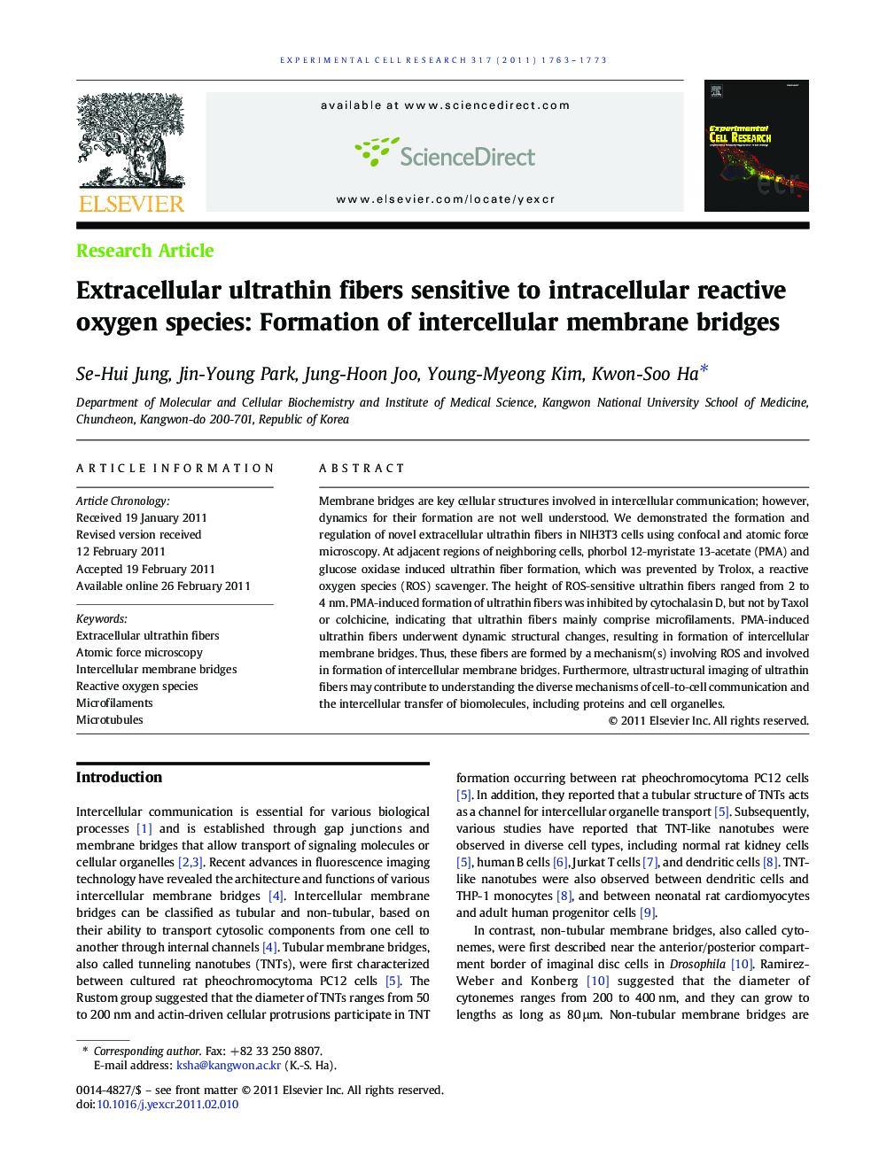Extracellular ultrathin fibers sensitive to intracellular reactive oxygen species: Formation of intercellular membrane bridges