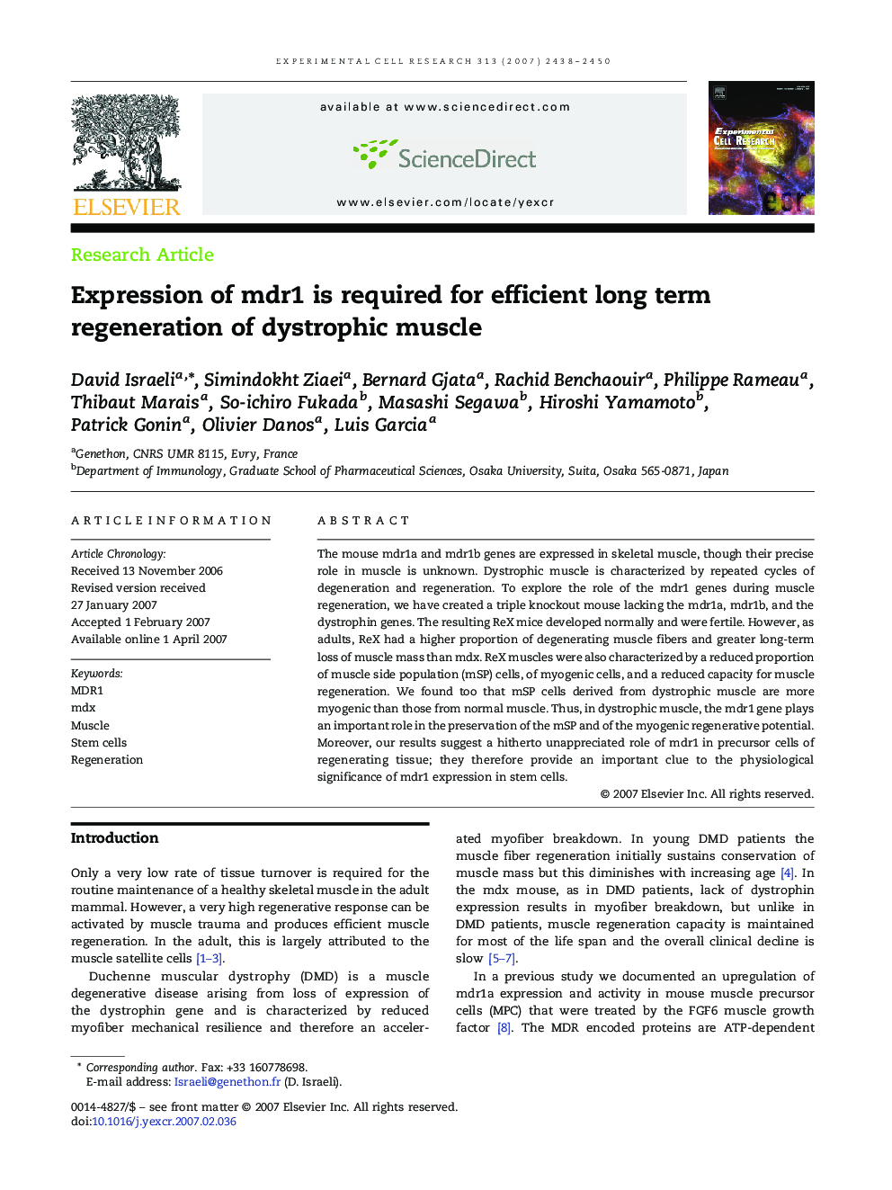 Expression of mdr1 is required for efficient long term regeneration of dystrophic muscle