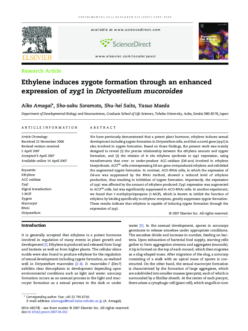 Ethylene induces zygote formation through an enhanced expression of zyg1 in Dictyostelium mucoroides