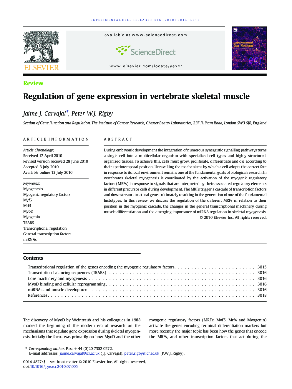 Regulation of gene expression in vertebrate skeletal muscle